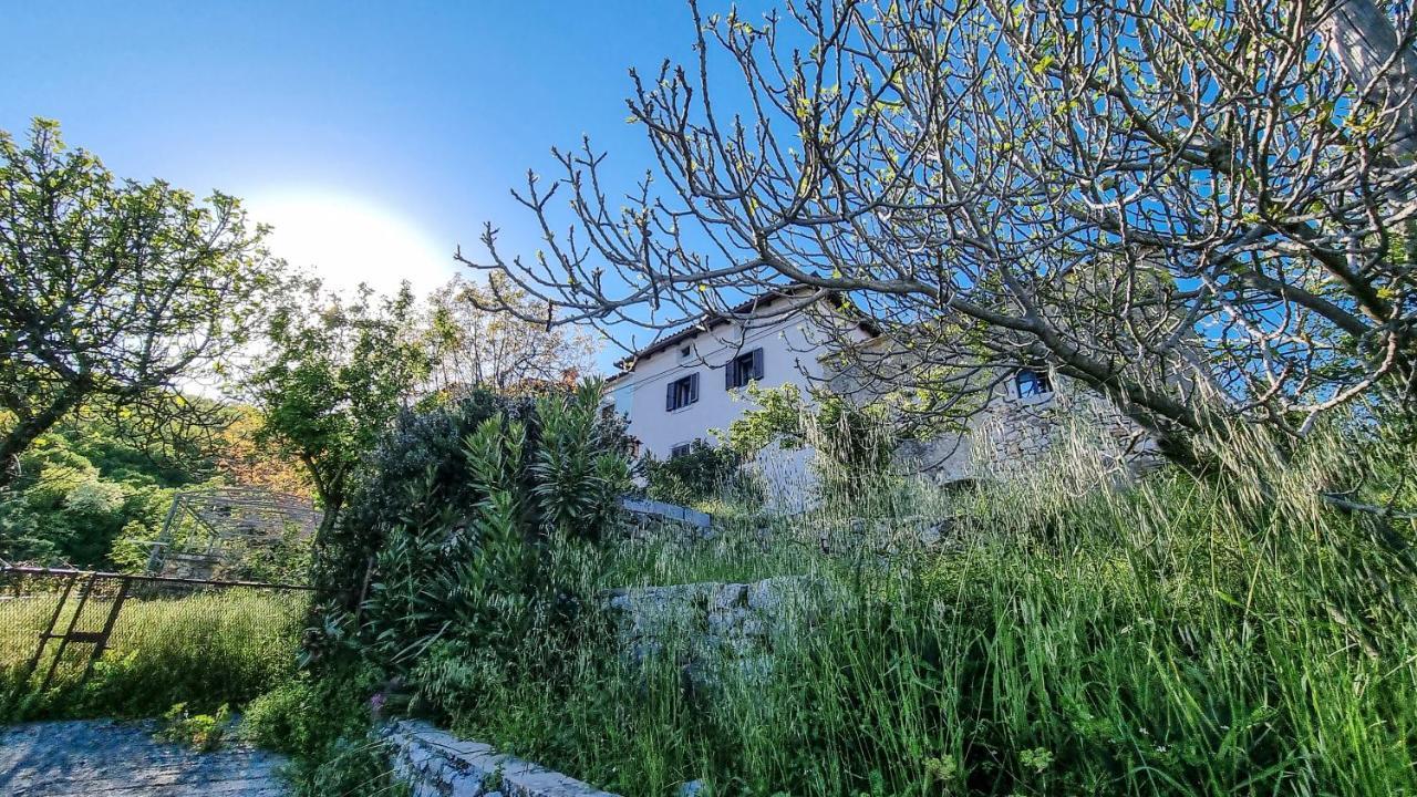 Villa Captain'S House - Kamenjari, Plomin Zagorje Exterior foto